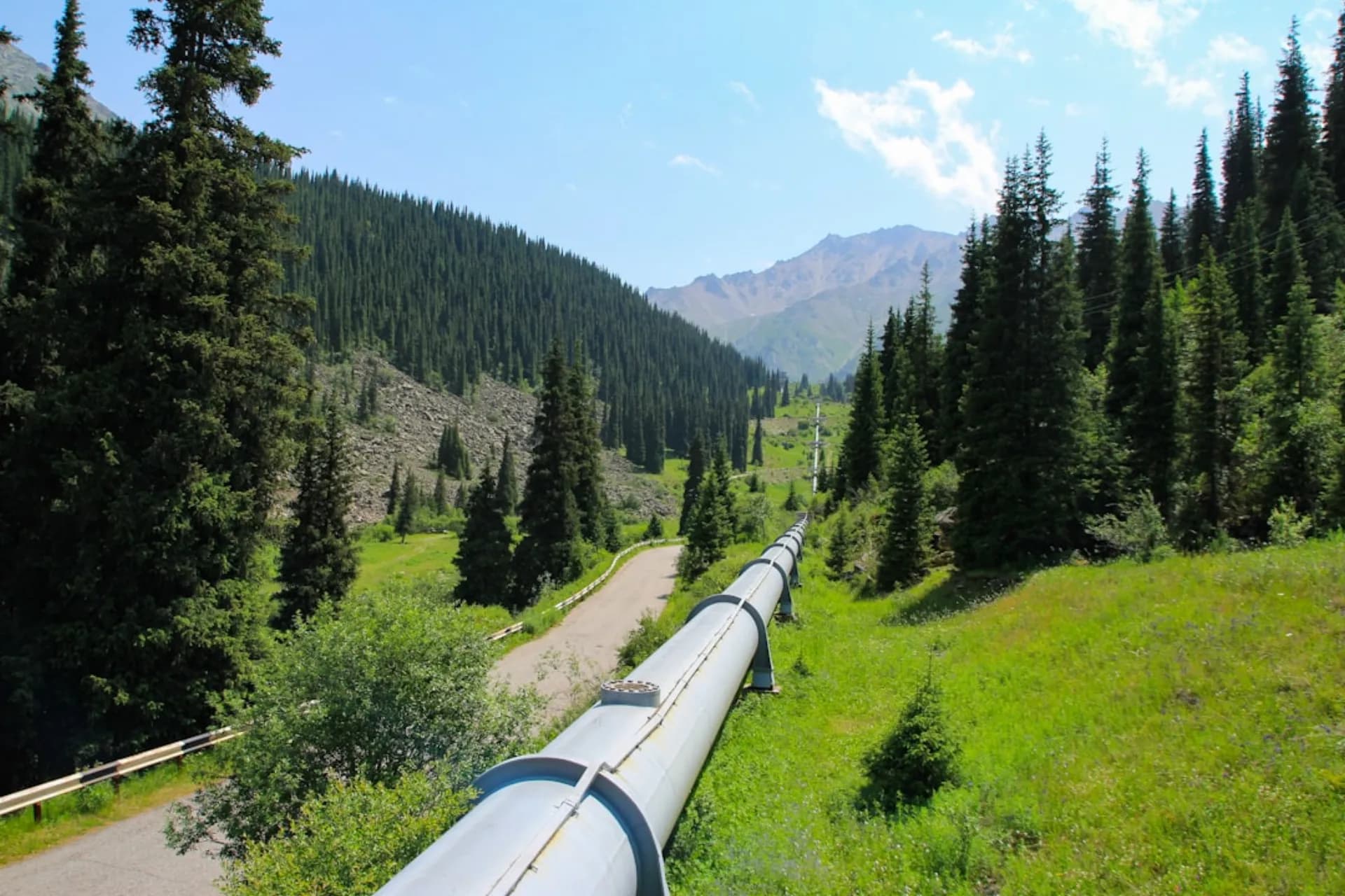 AI Data Pipeline Development — Feed Your Models the Right Data