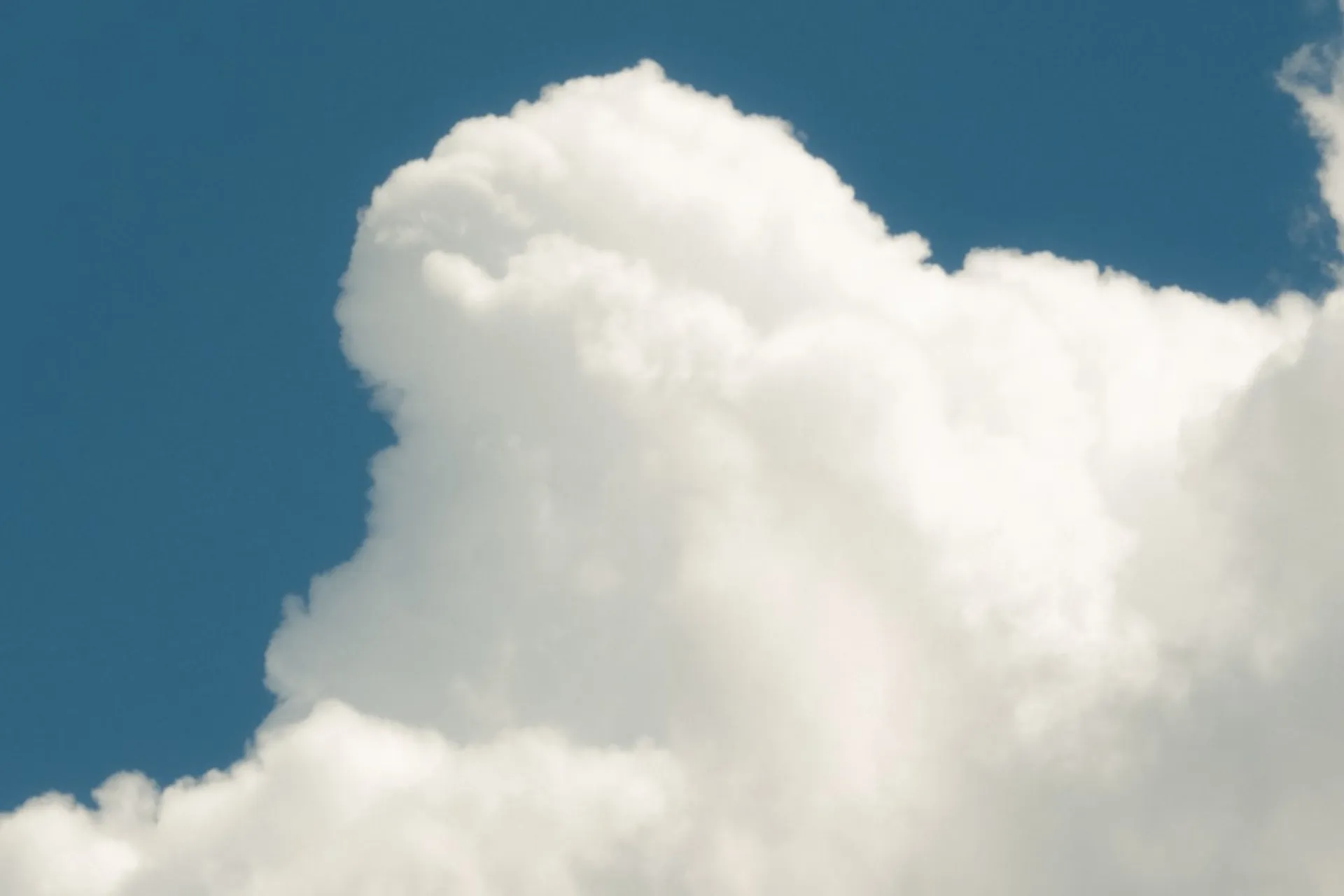 AI SaaS Development for Marketing Agencies