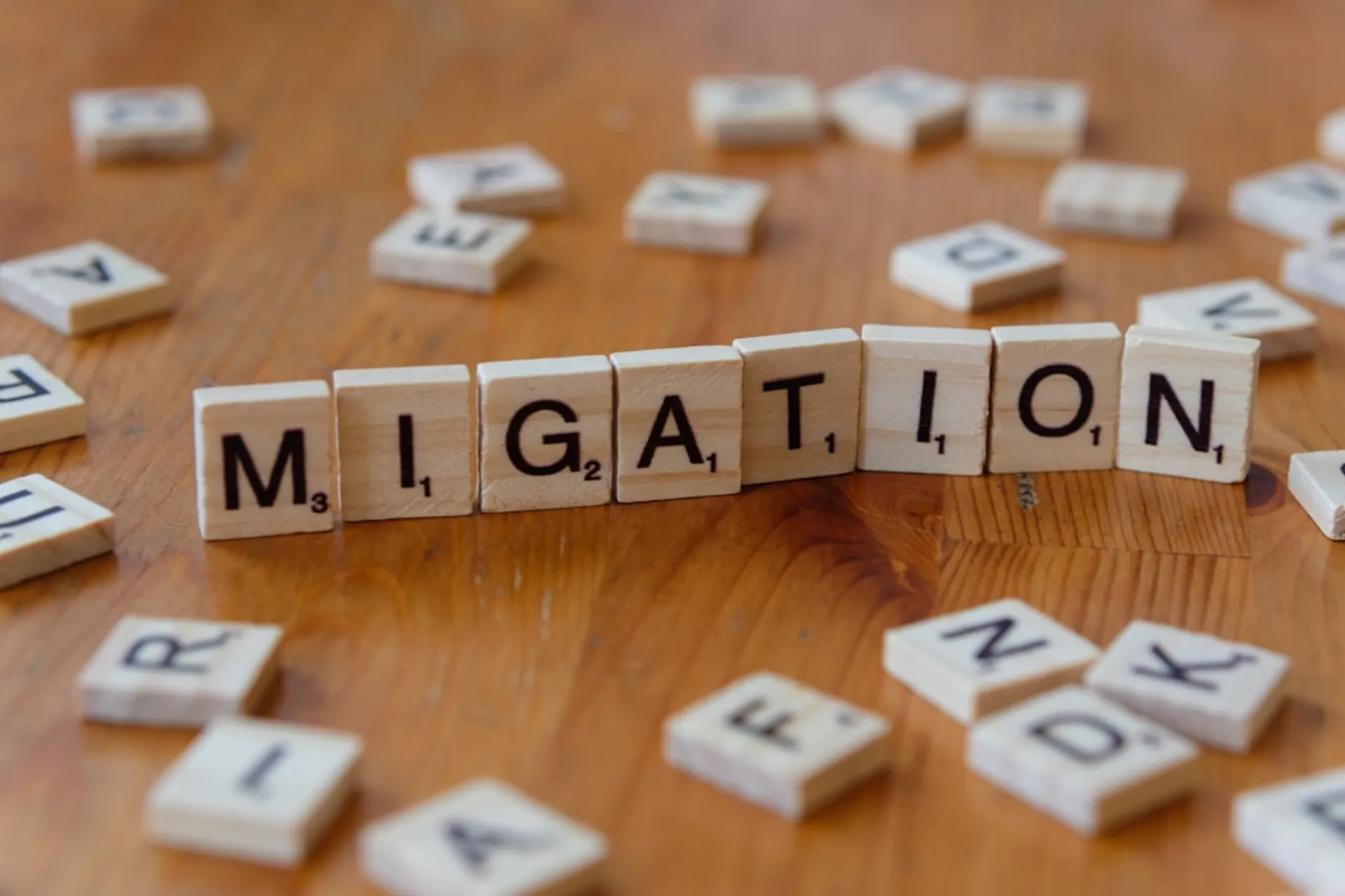 WordPress to Next.js Migration for Construction